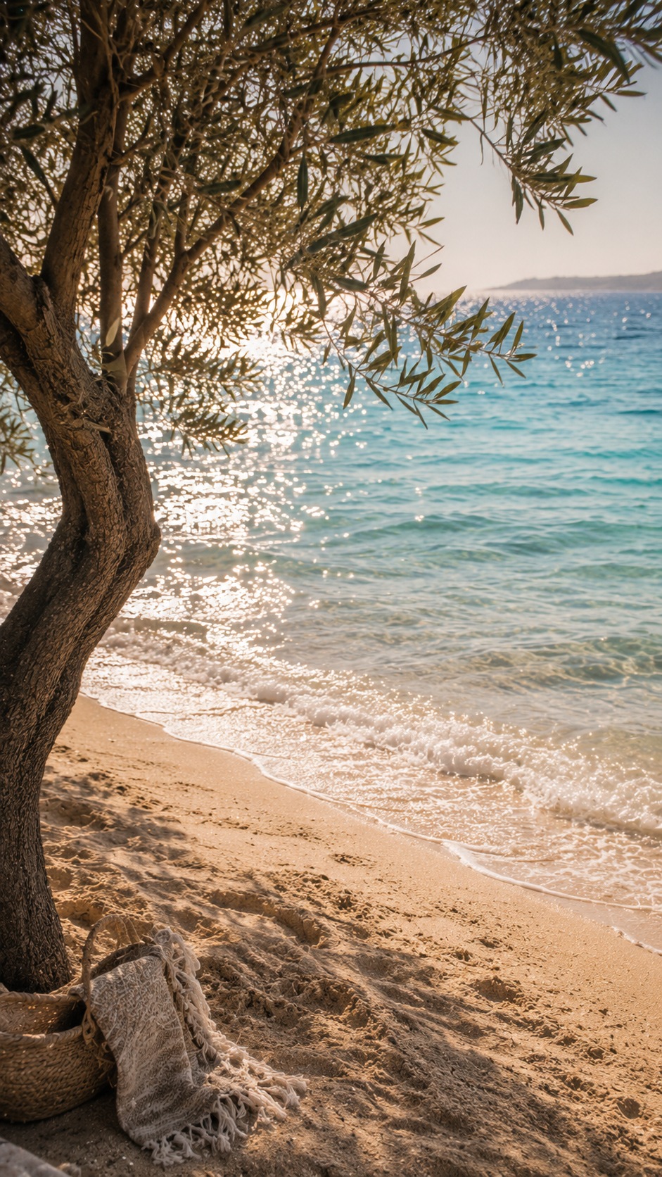 Olive tree shade beside the water